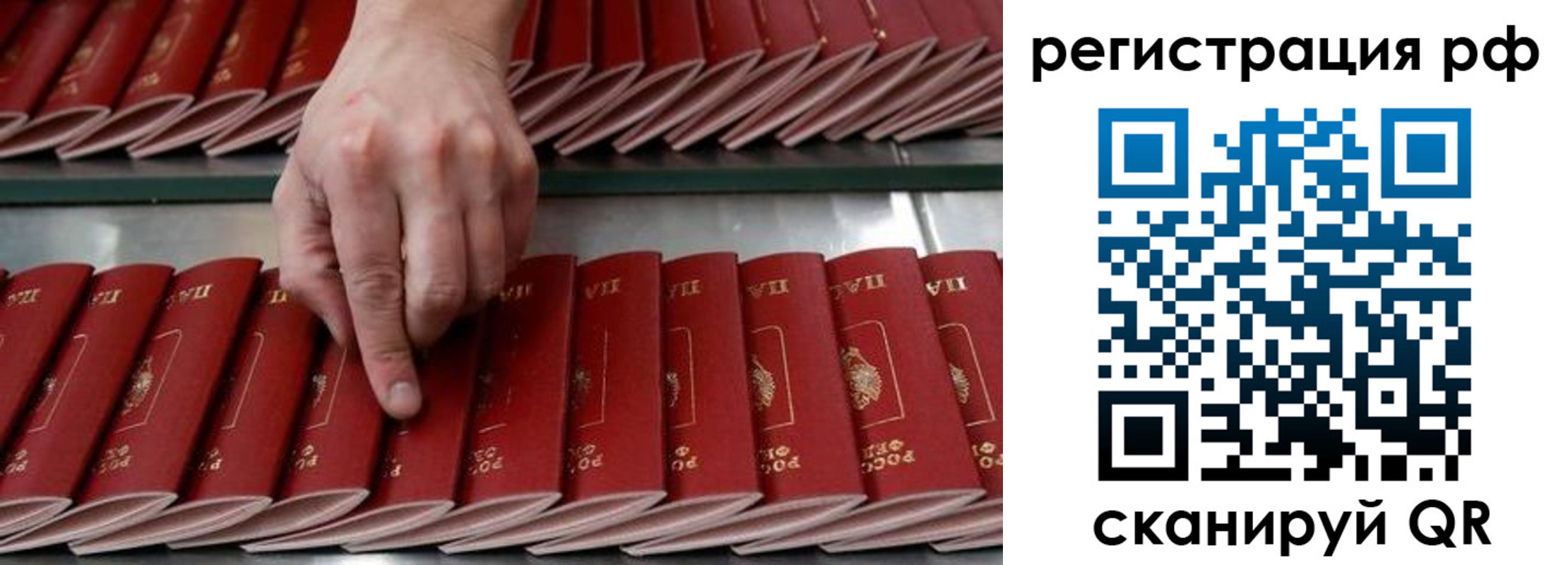 временная регистрация поиск в Кургане